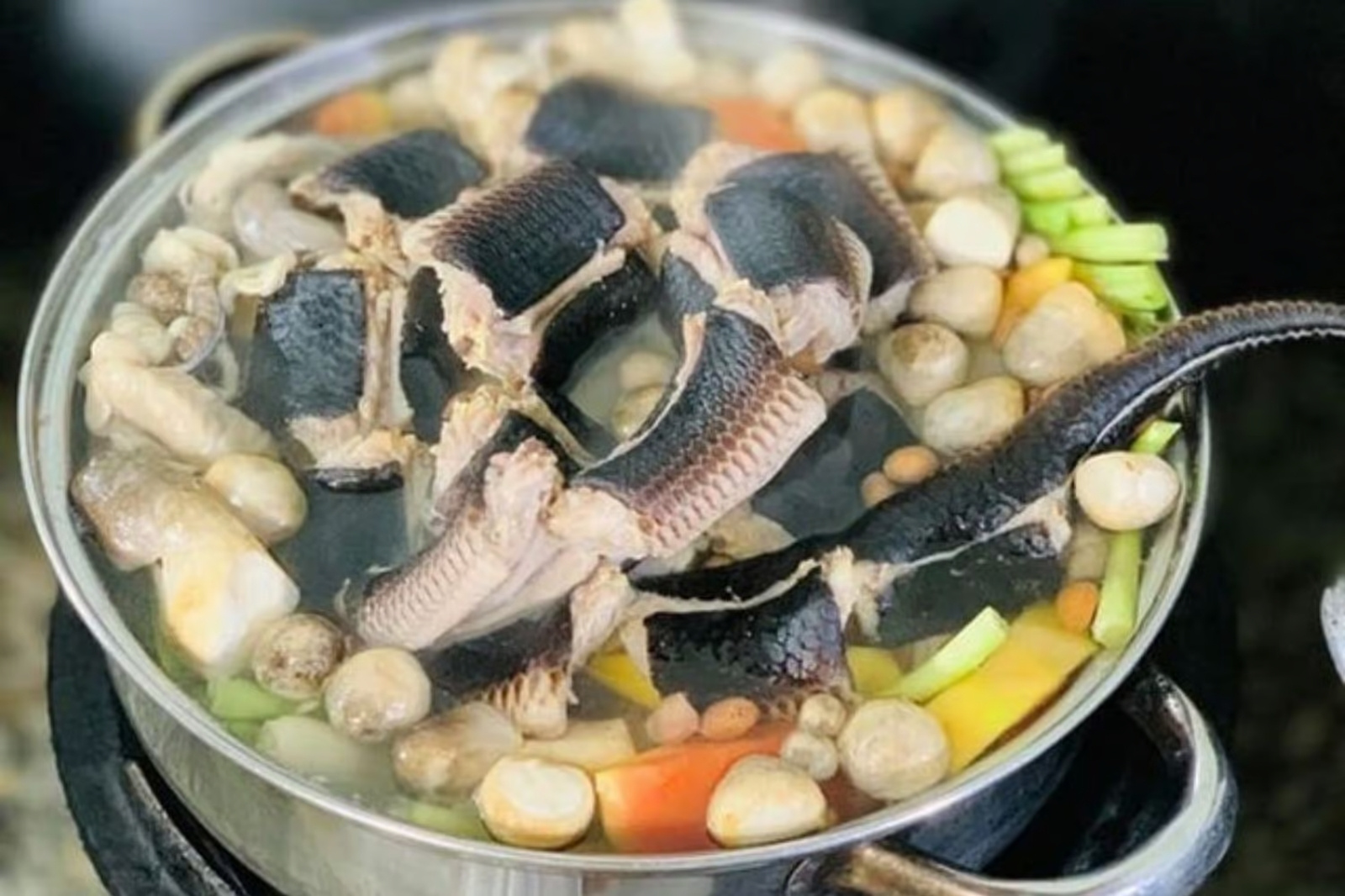 Món lẩu thơm ngon từ đẻn biển